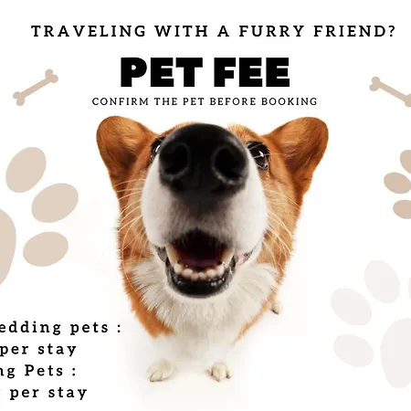 Picapau 59105al * リスボン